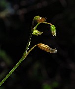 IMG_2423