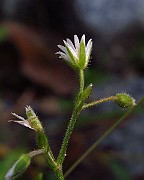 IMG_2456