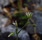 IMG_2458