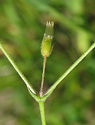 IMG_6162