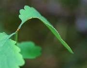 IMG_0765