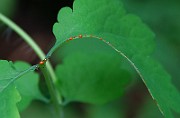 IMG_0768