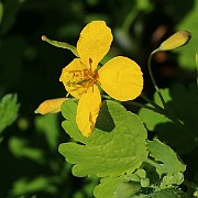 IMG_0839
