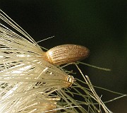 IMG_3636
