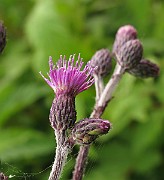 IMG_6314