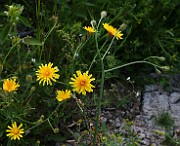 IMG_5846