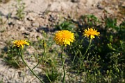 IMG_6030