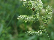 IMG_2547