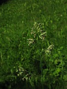 IMG_3512