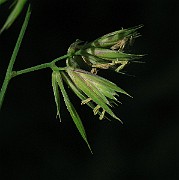 IMG_3514