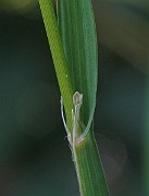 IMG_3519
