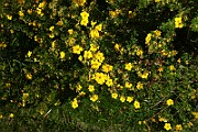 IMG_1691