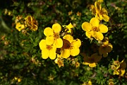 IMG_1692