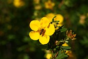 IMG_1693