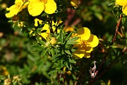 IMG_1694