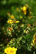 IMG_1695