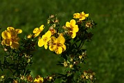 IMG_1696