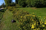 IMG_1697