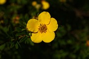 IMG_1699