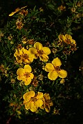 IMG_1700