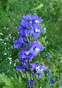 IMG_1312