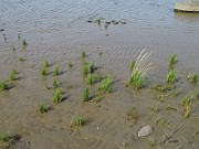 IMG_0565