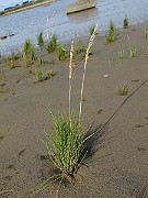 IMG_0567