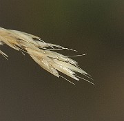 IMG_0569