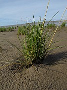 IMG_0571