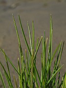 IMG_0572