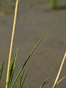 IMG_0573