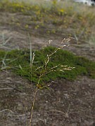 IMG_0556