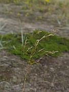 IMG_0557