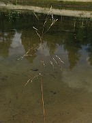 IMG_2116