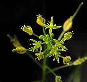 IMG_1674