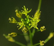 IMG_1679