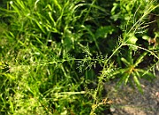 IMG_1682