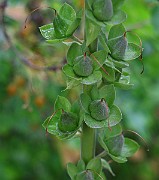IMG_6760