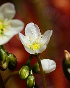 IMG_0045