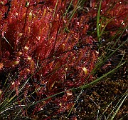 IMG_0046