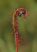 IMG_4571