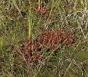IMG_4576