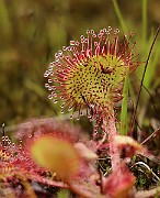 IMG_0587