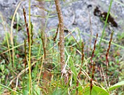 IMG_1801