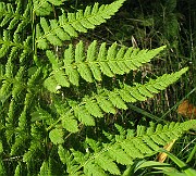 IMG_2358
