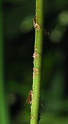 IMG_2361
