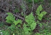 IMG_2574