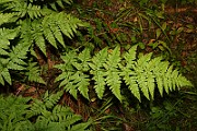 IMG_3739