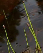 IMG_0561