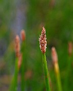 IMG_1853